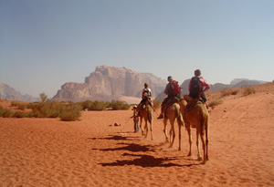 Camel Trek