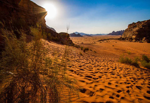 Wadi Rum Trip