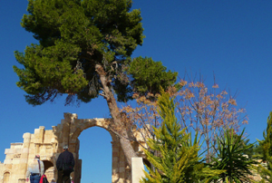 Tour-to-Jerash-from-Amman