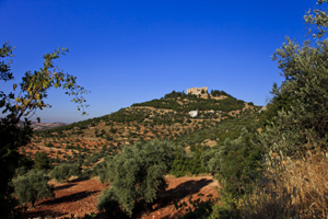 Ajloun-Castle-Excursion